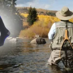 Best Fly Fishing Water Socks for Your Outdoor Adventures